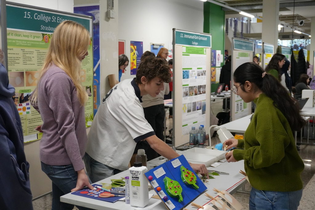 2026-01-30_Web-Meldung_Trinationaler_Schülerkongress_15_College_St._Etienne_Strasbourg