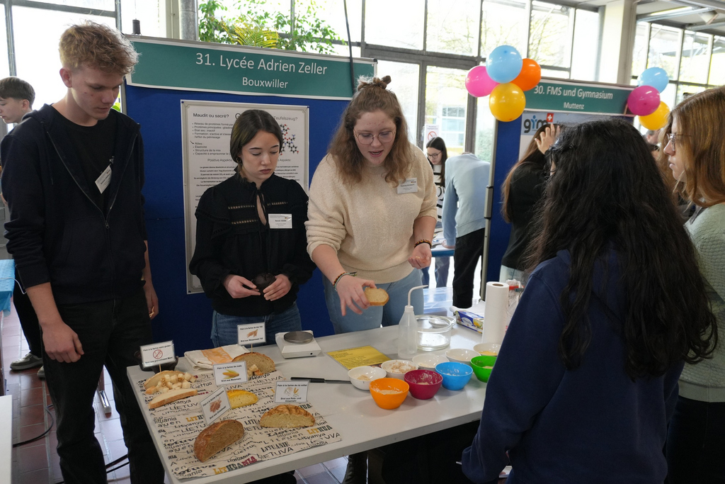2026-01-30_Web-Meldung_Trinationaler_Schülerkongress_31_Lycee_Adrien_Zeller